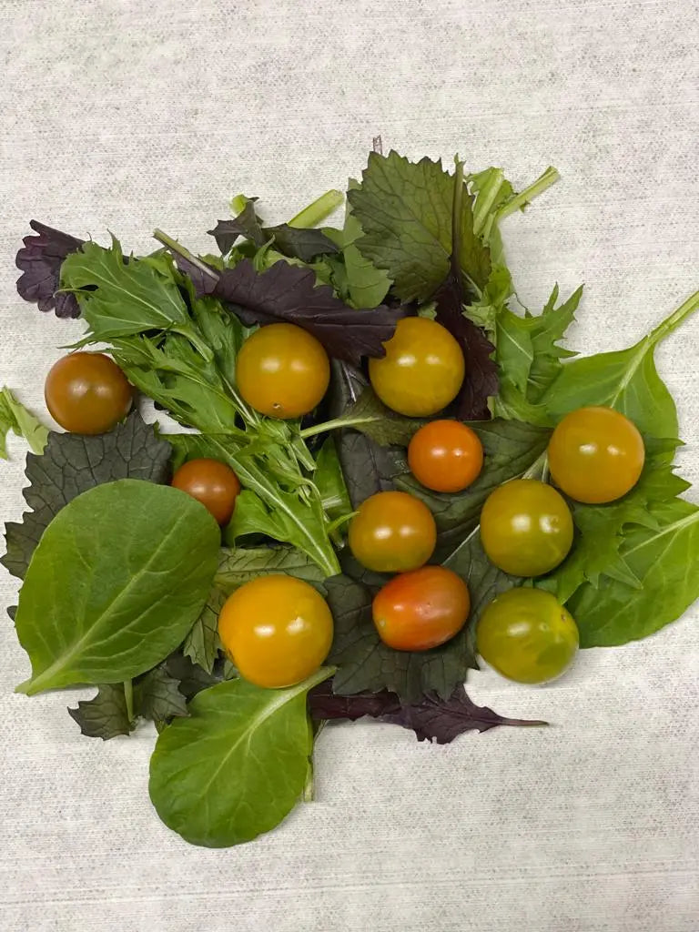 Ensalada Summer Mix