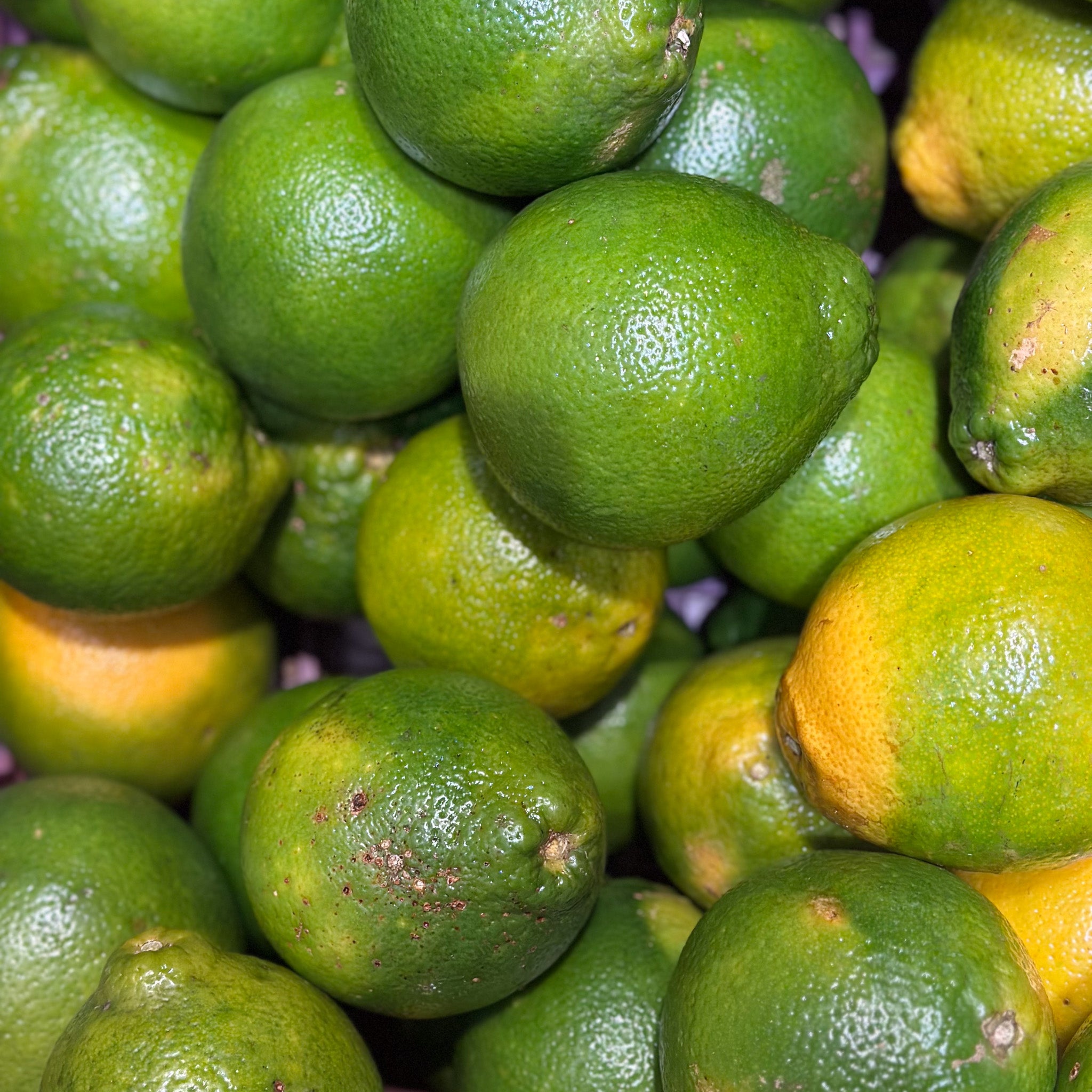 Naranja Tangelo (5 uds)