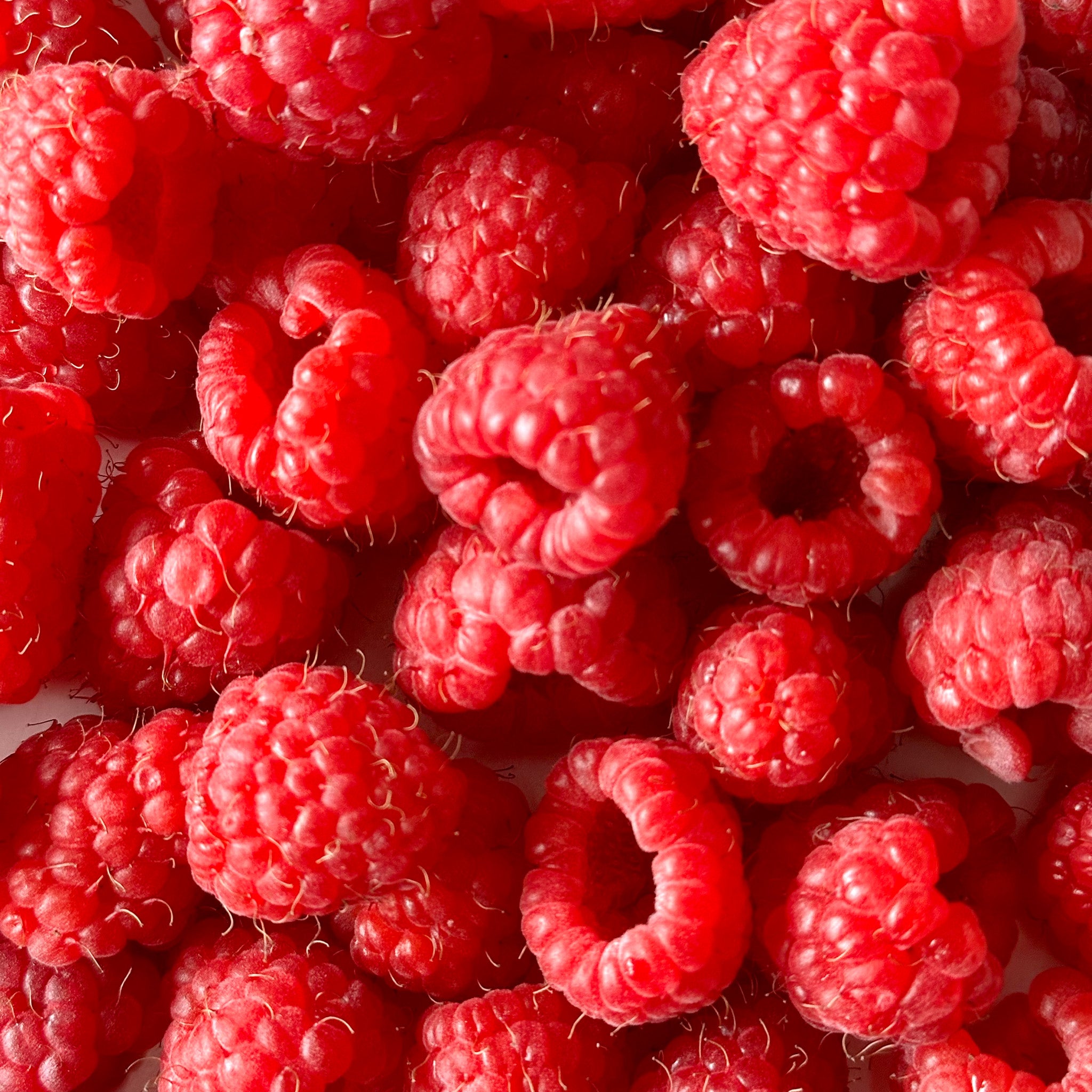 Frambuesas Rojas (125g)
