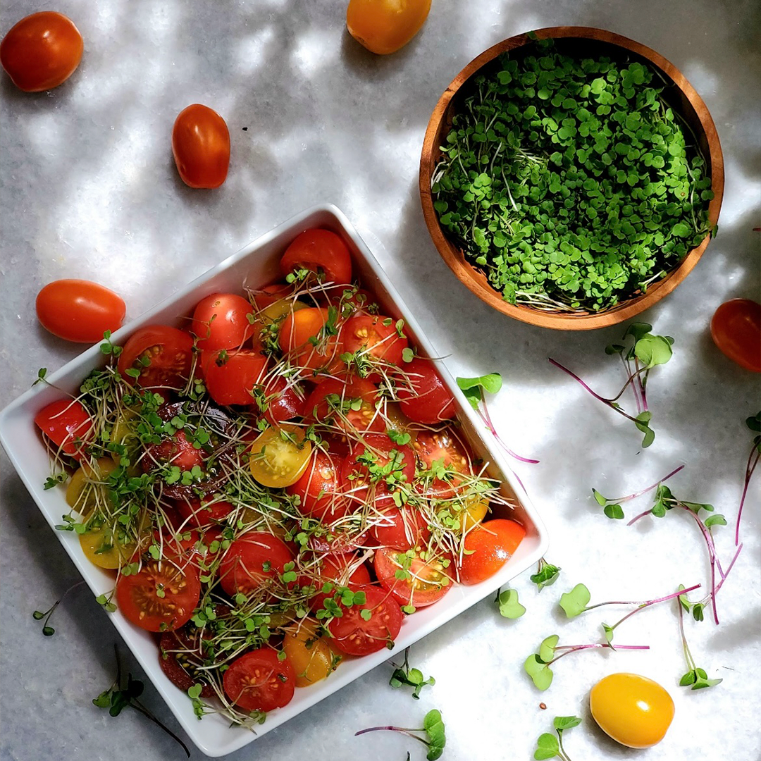 Brotes de Rúgula (30g)