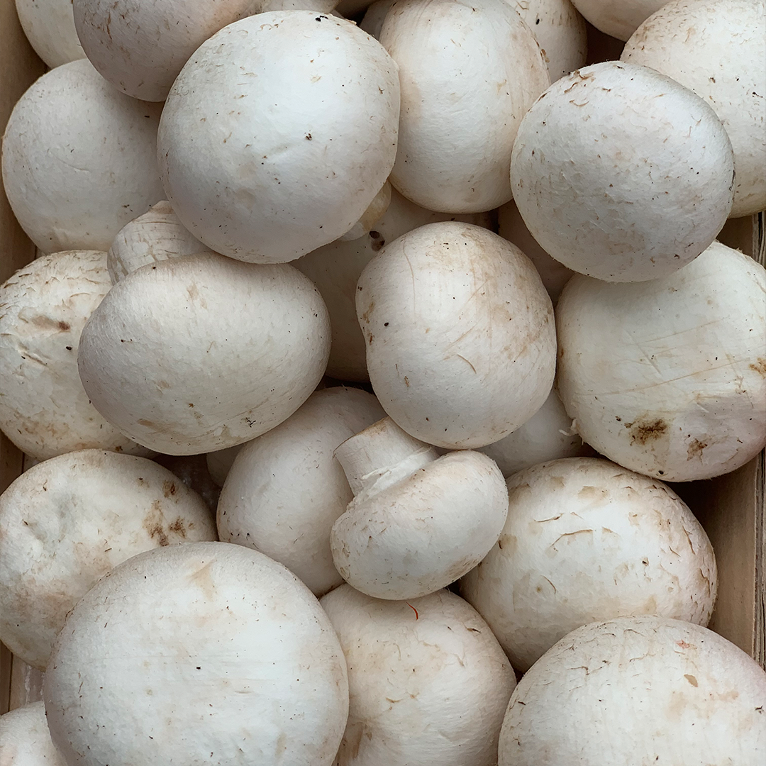 Champiñones Blancos (250g)