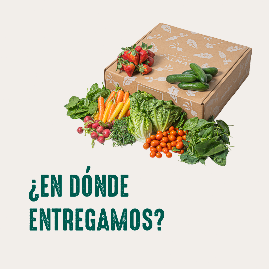 MONTEVIVO