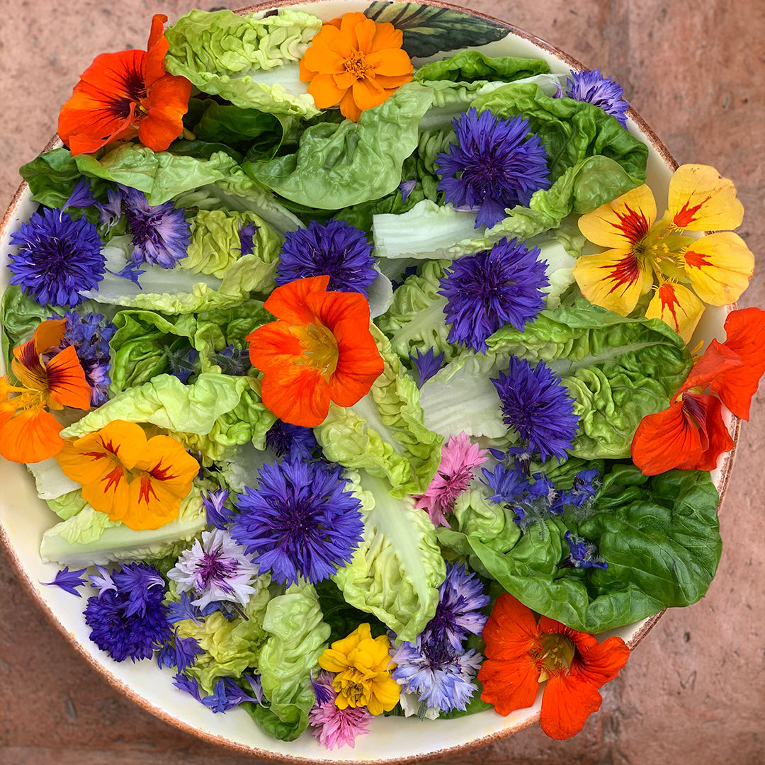 Mix Flores Comestibles (20g)