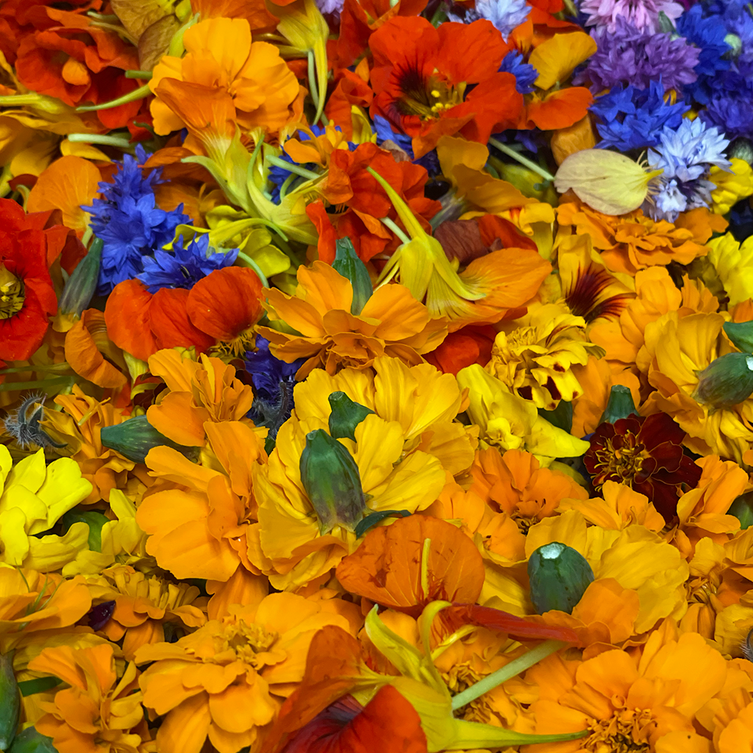Mix Flores Comestibles (20g)