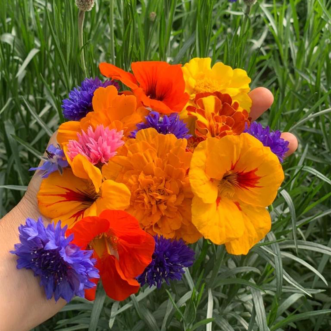 Mix Flores Comestibles (20g)