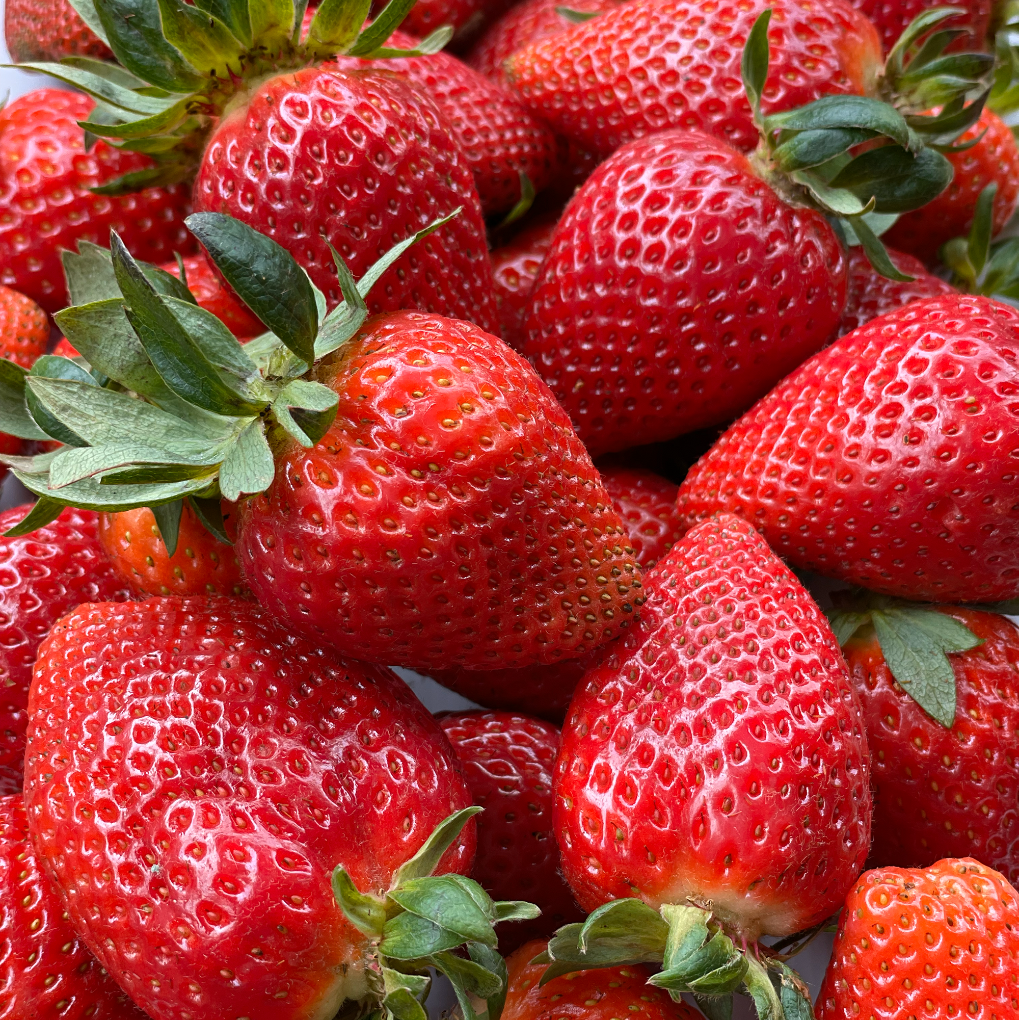 Fresas Rojas (500g)