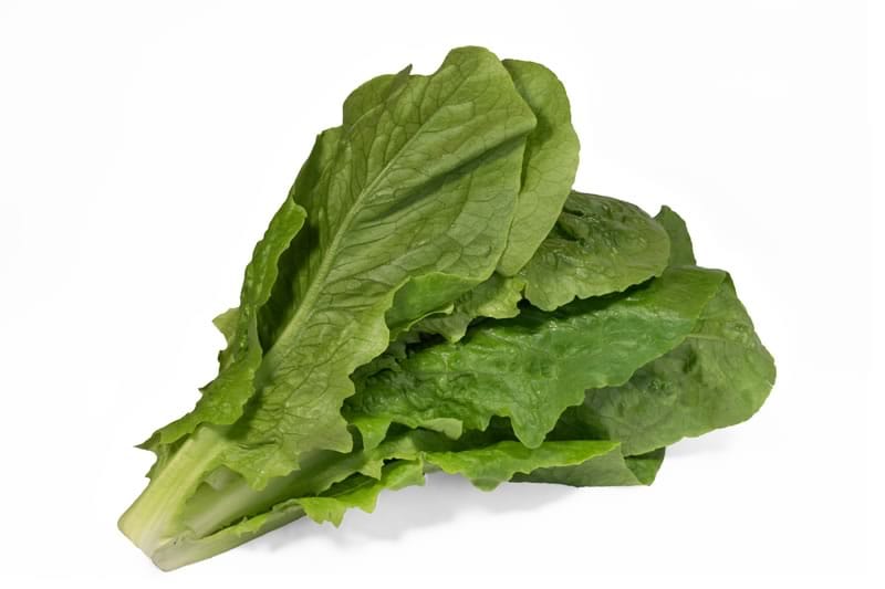 Lechuga Romana Verde  Hidropónica (220g)