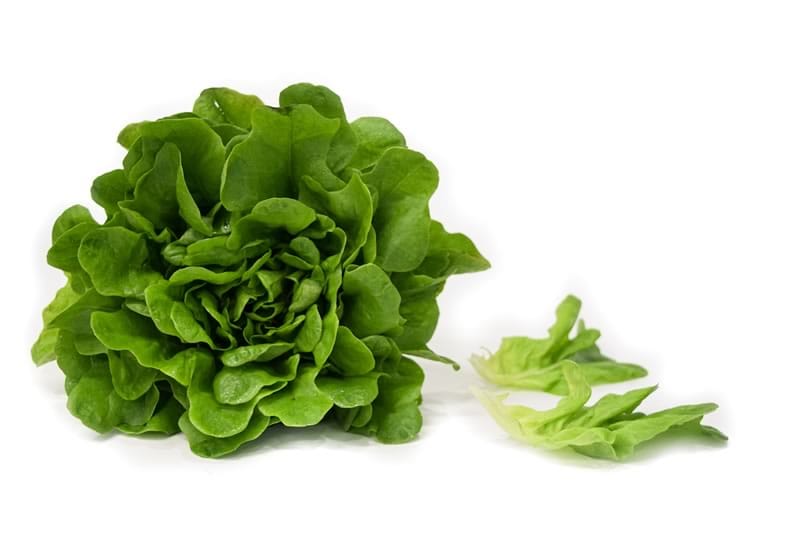 Lechuga Salanova Verde Hidropónica (140g)
