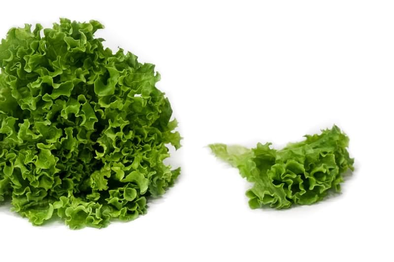 Lechuga Verde Crespa Hidropónica (200g)