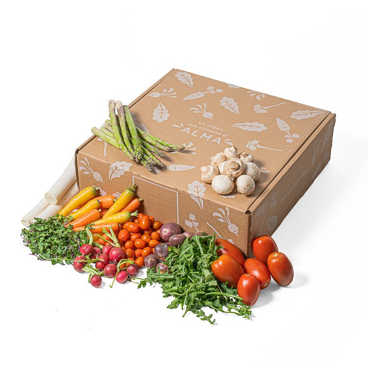 Caja Fondue - Raclette