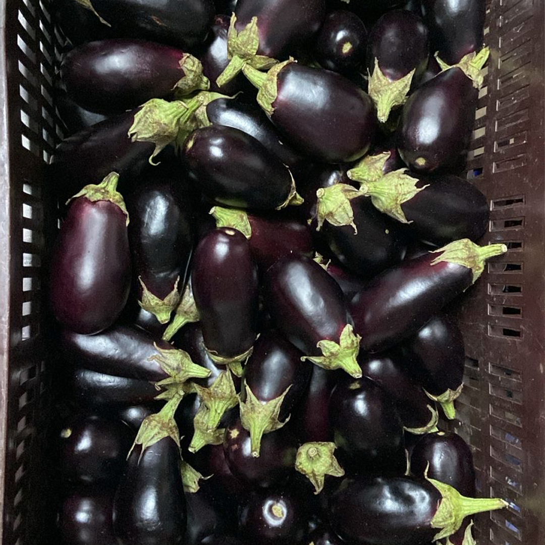 Mini Berenjenas (4 uds)