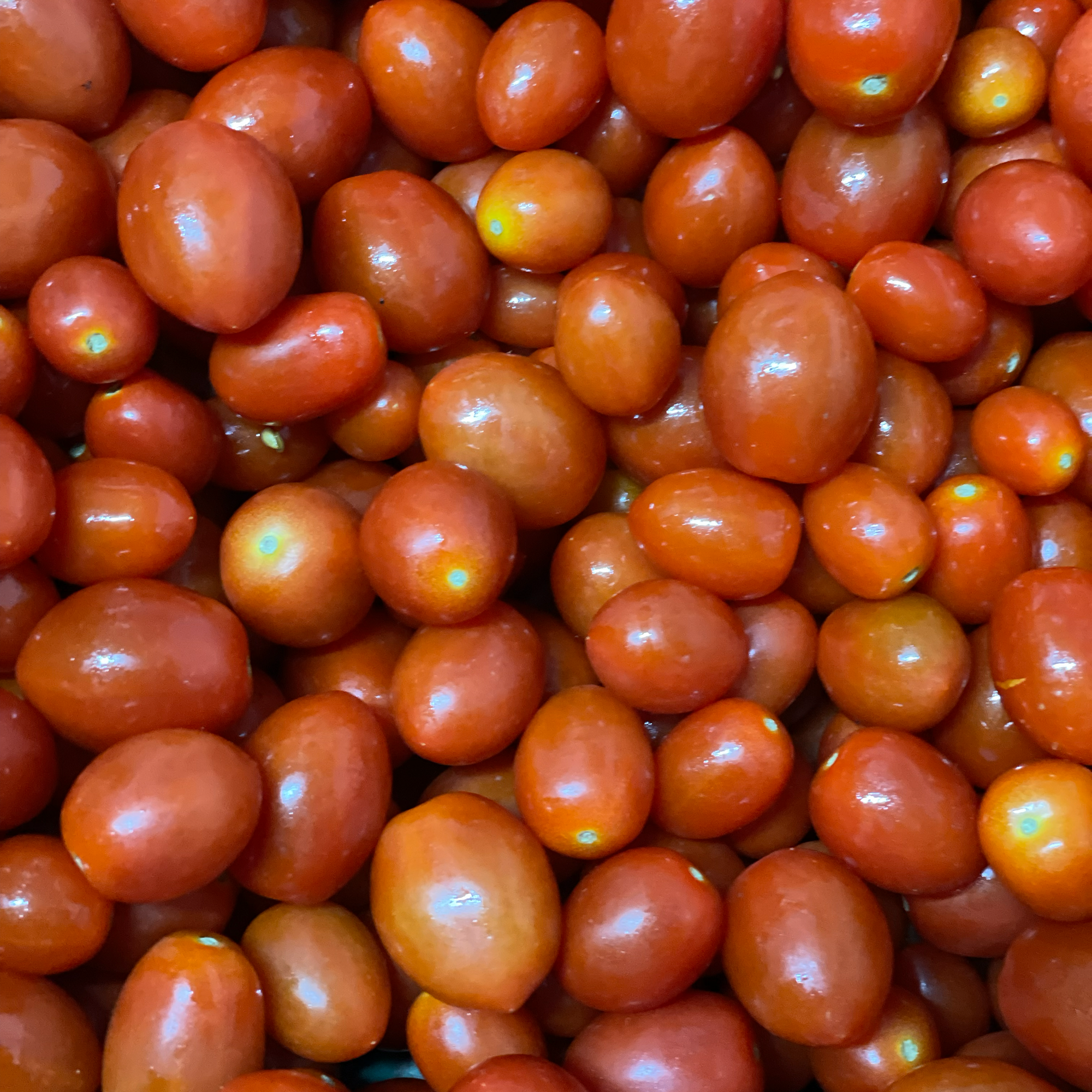 Mini Tomates Rojos (500g)