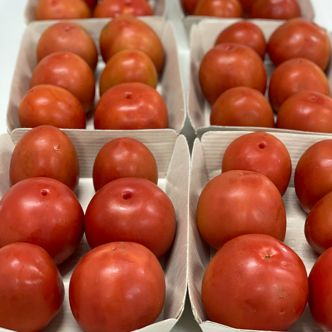 Tomate Chonto Maduro ( Perfecto para SOPAS y SALSAS) (6 uds)