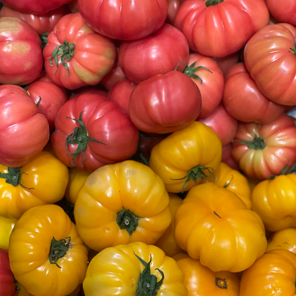Tomates Monterosa (6 uds)