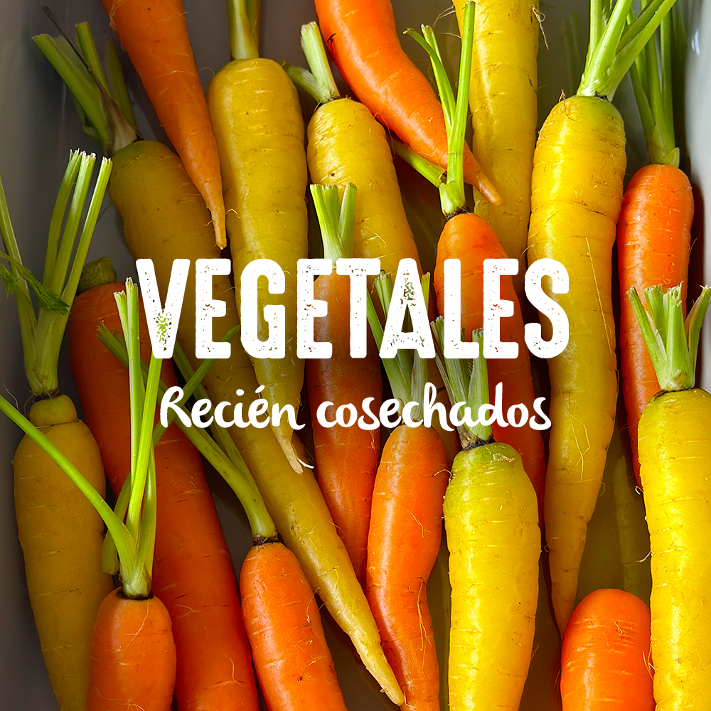 Vegetales