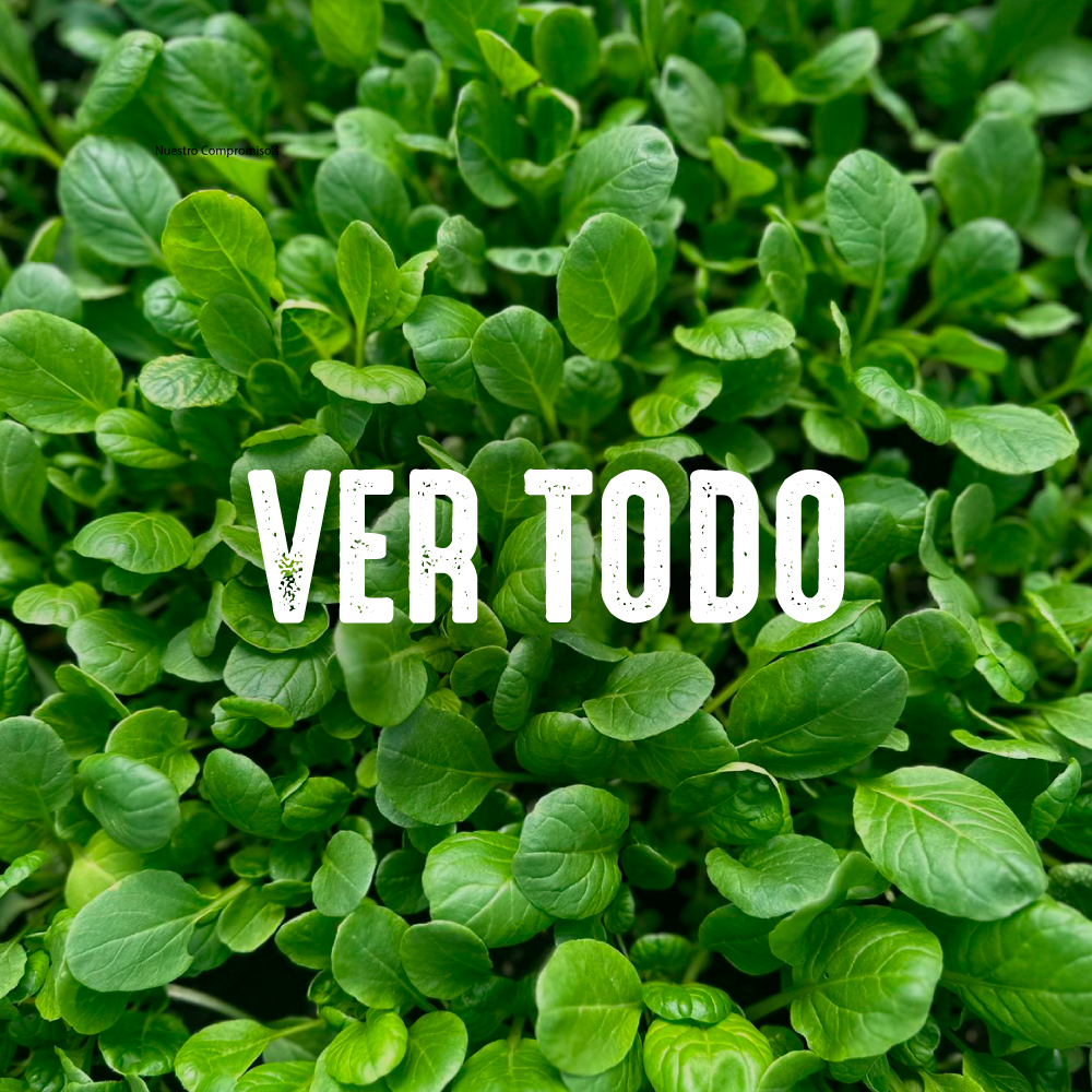 Ver Todo