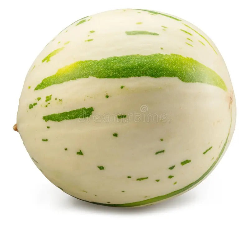 Melón Leopard