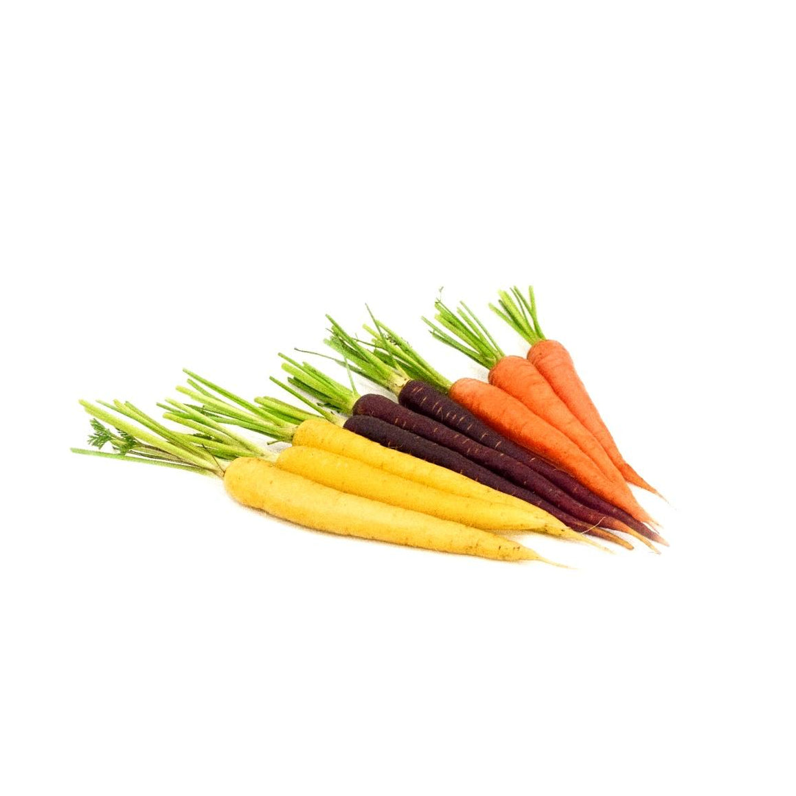 Mini Zanahorias Colores (500g)