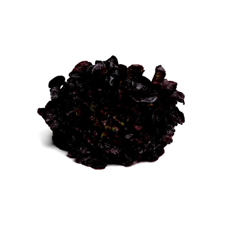 Lechuga Roble Morada Hidropónica (140g)