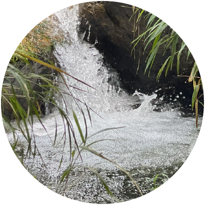 Agua pura de la montaña