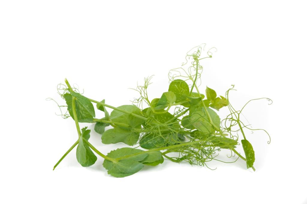 Brotes de Guisantes (30g)