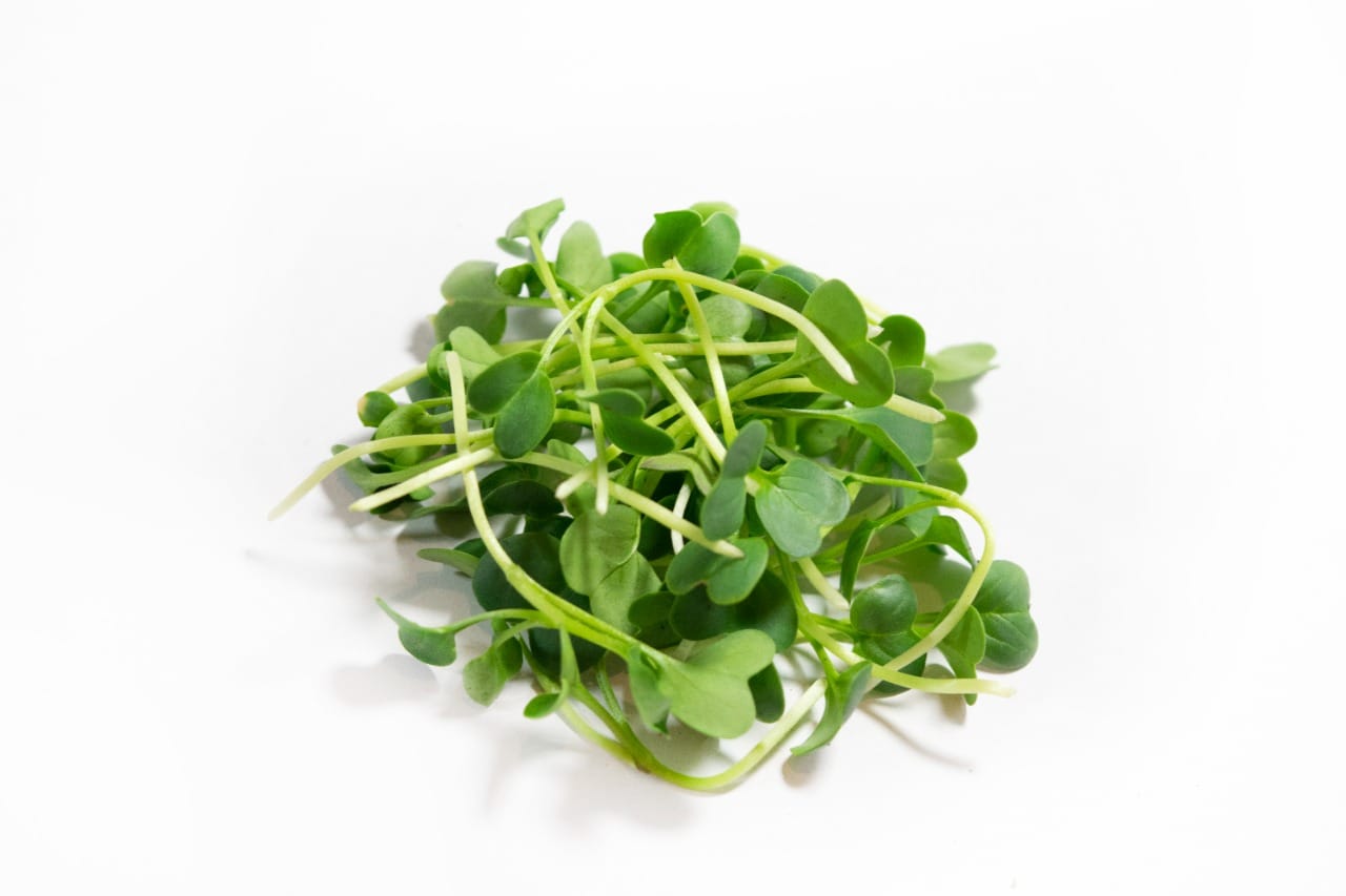 Brotes de Rúgula (30g)
