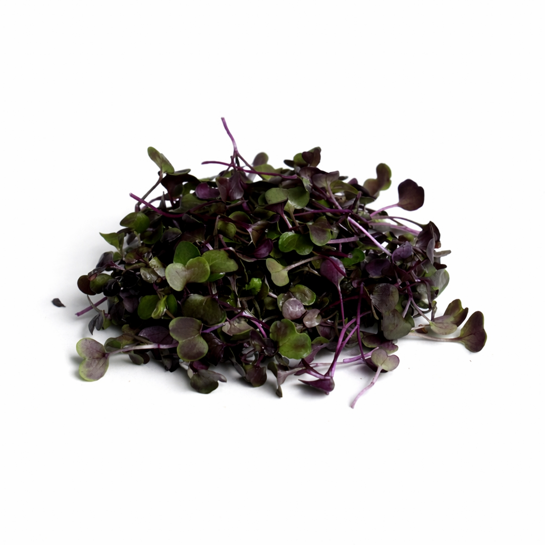 Brotes de Rábano (30g)