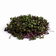 Brotes de Repollo (30g)