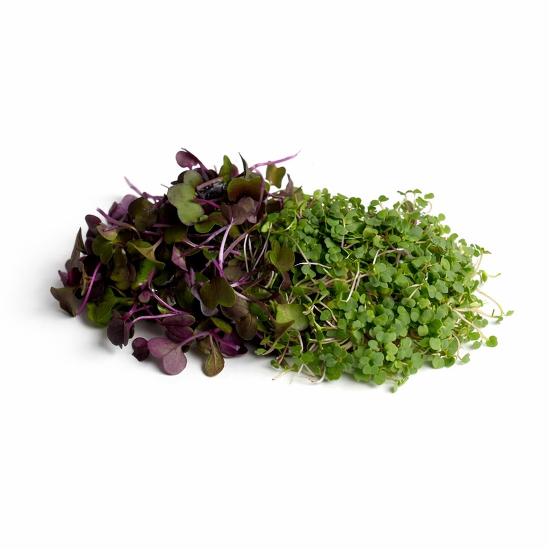 Brotes De Temporada (30g)