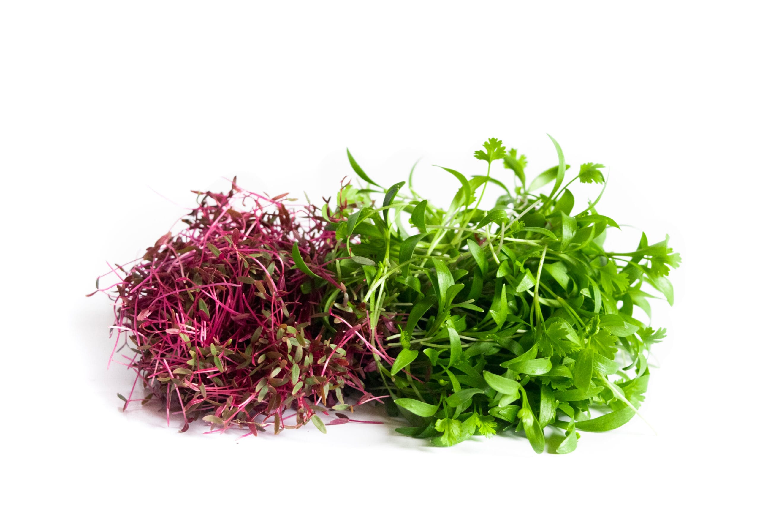 Brotes Mix Color (30g)