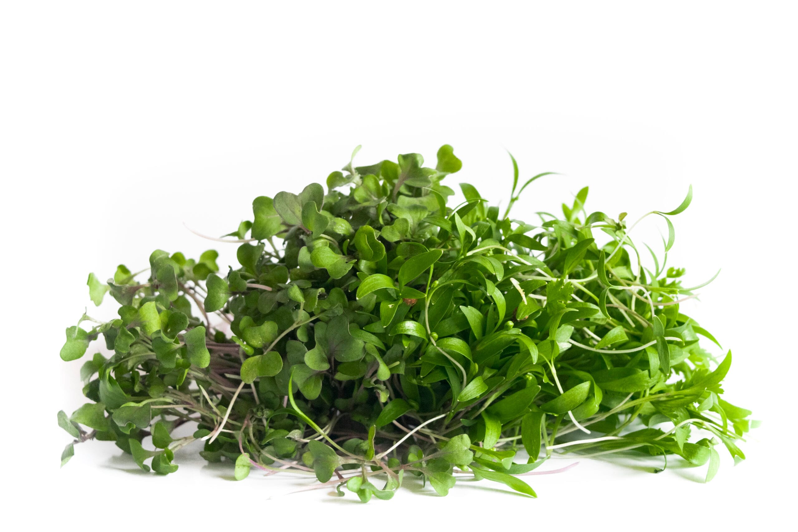 Brotes Mix Verde (30g)