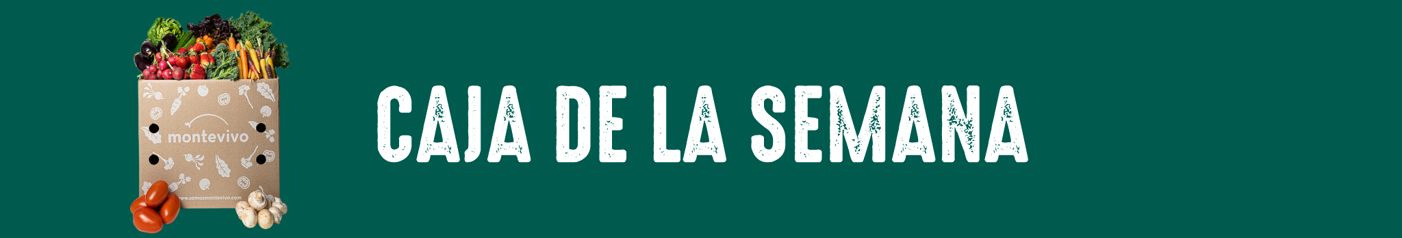 MONTEVIVO