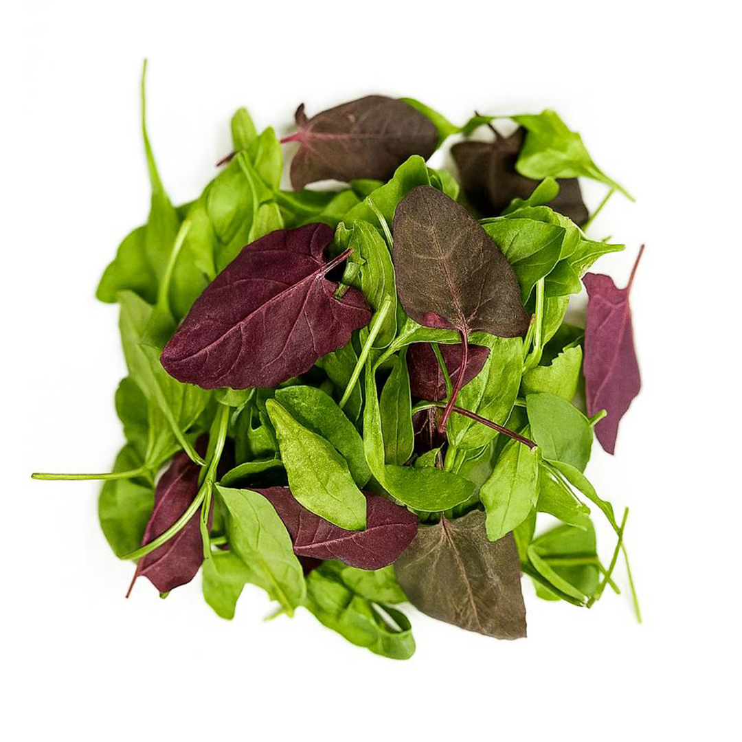 Espinaca Baby Colores x 100g