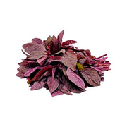 Espinaca Baby Roja  (100g)