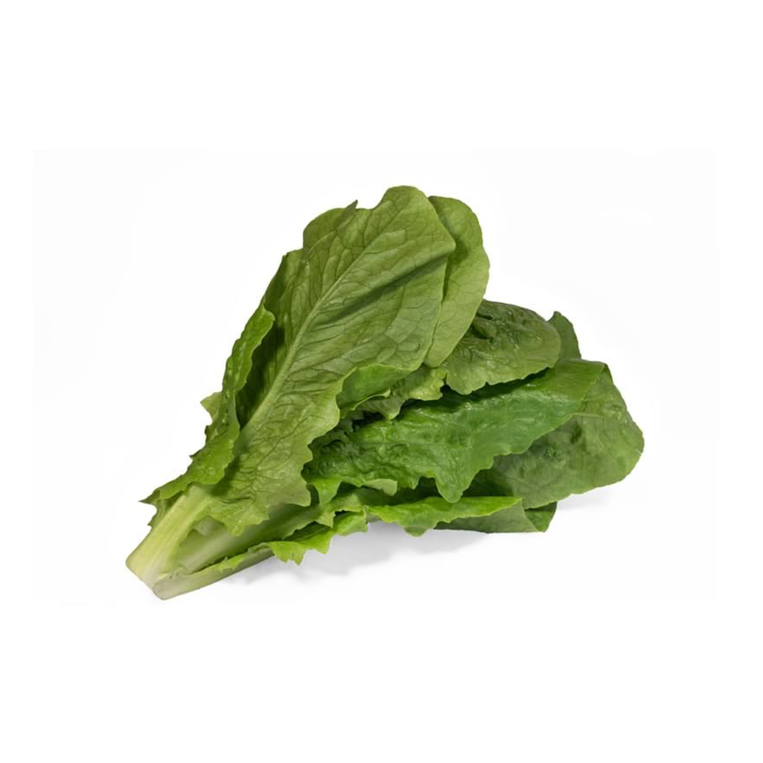 Lechuga Romana Verde  Hidropónica (220g)