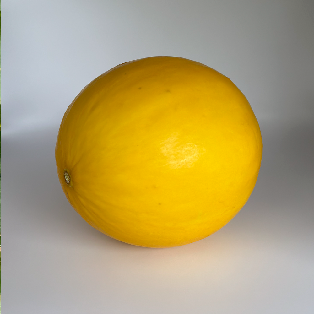 Melón Amarillo (1 ud)