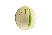 Melón Leopard