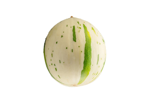 Melón Leopard