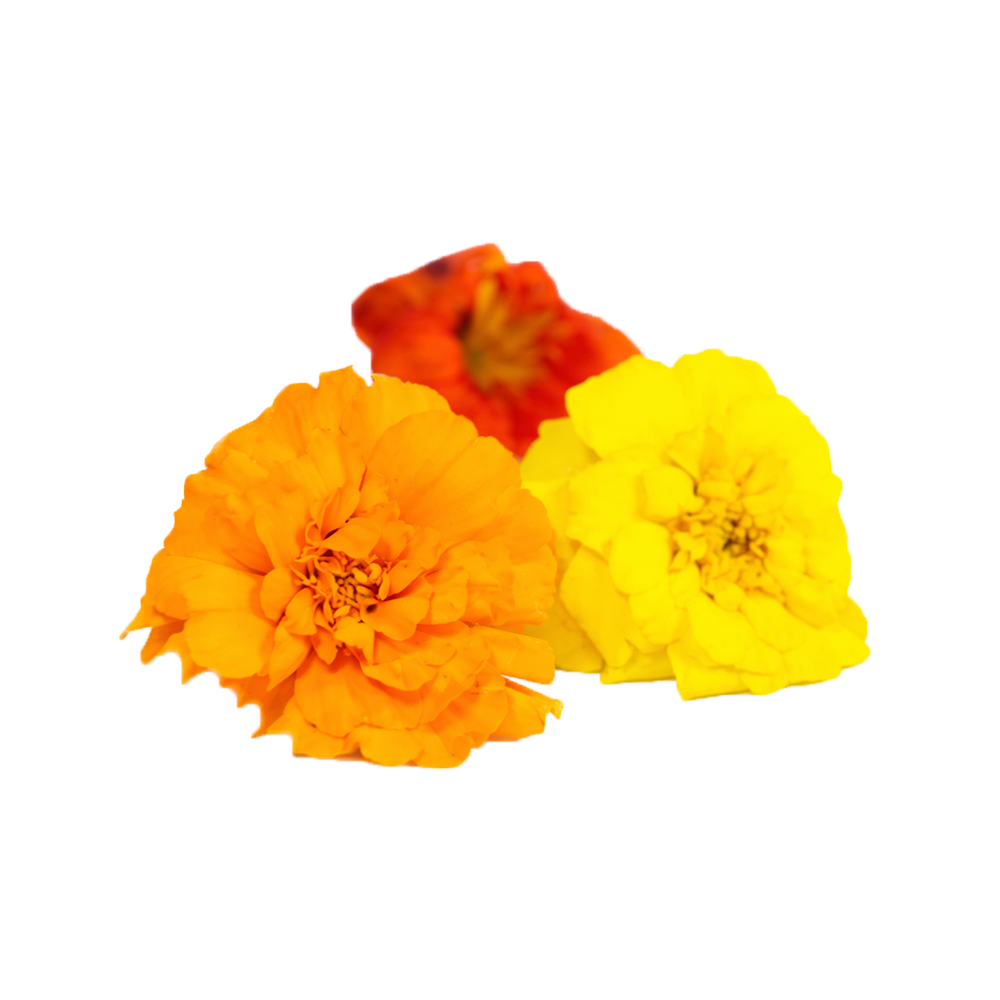 Mix Flores Comestibles (20g)