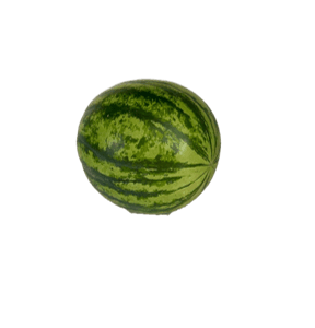 Patilla Baby (1 ud) peso aprox (1.5 k)