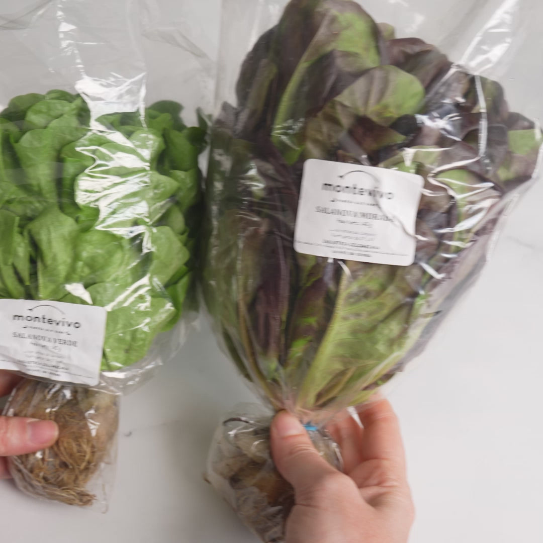 Cargar vídeo: Lechuga Salanova Verde Hidropónica (140g)