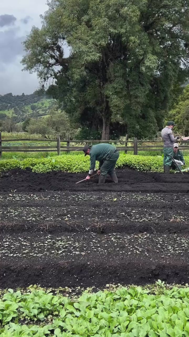 Cargar vídeo: 