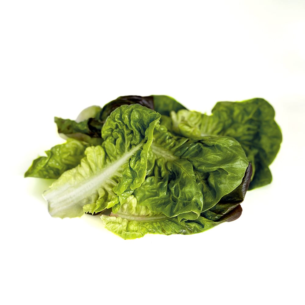 Mezcla de hojas de cogollos (verde  y morado) (100g)