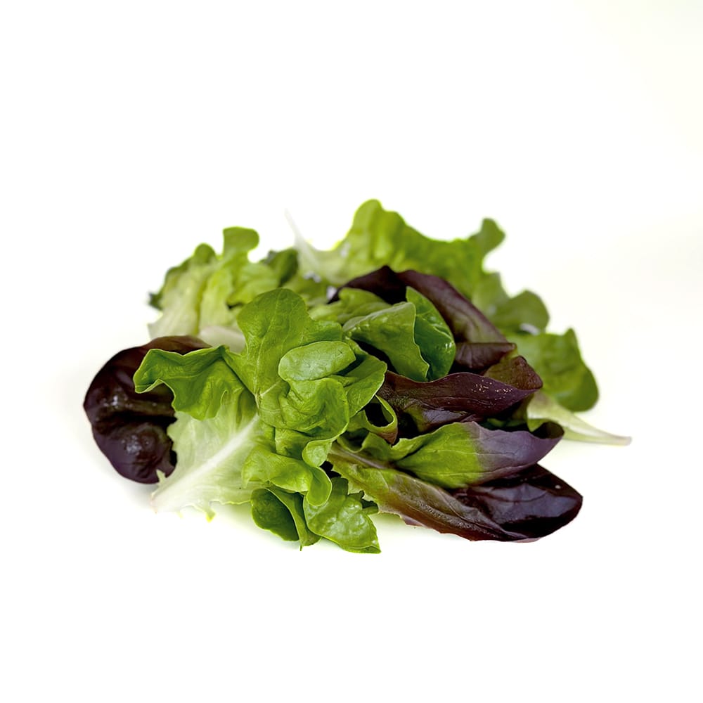 Mezcla de hojas de salanovas (verde y morada) (100g)