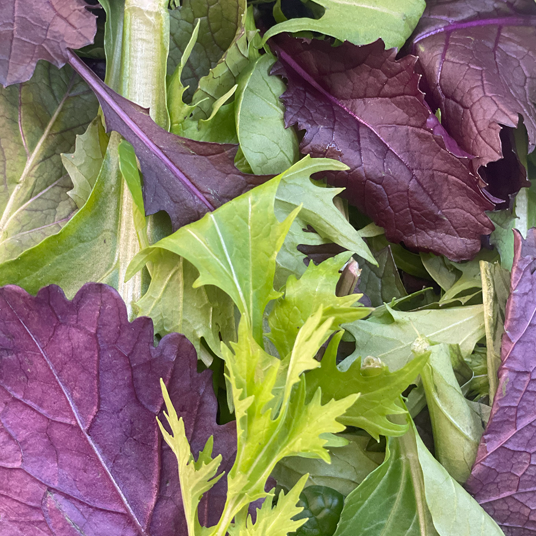 Summer Mix-baby leaf mix (100g)-Mizuna Verde,Tatsoi Verde y Mostaza Roja