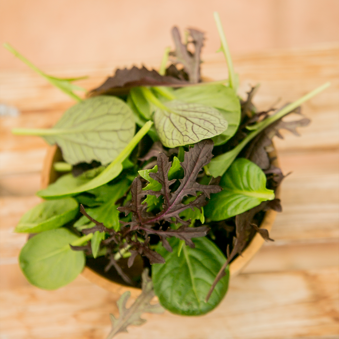 Summer Mix-baby leaf mix (100g)-Mizuna Verde,Tatsoi Verde y Mostaza Roja