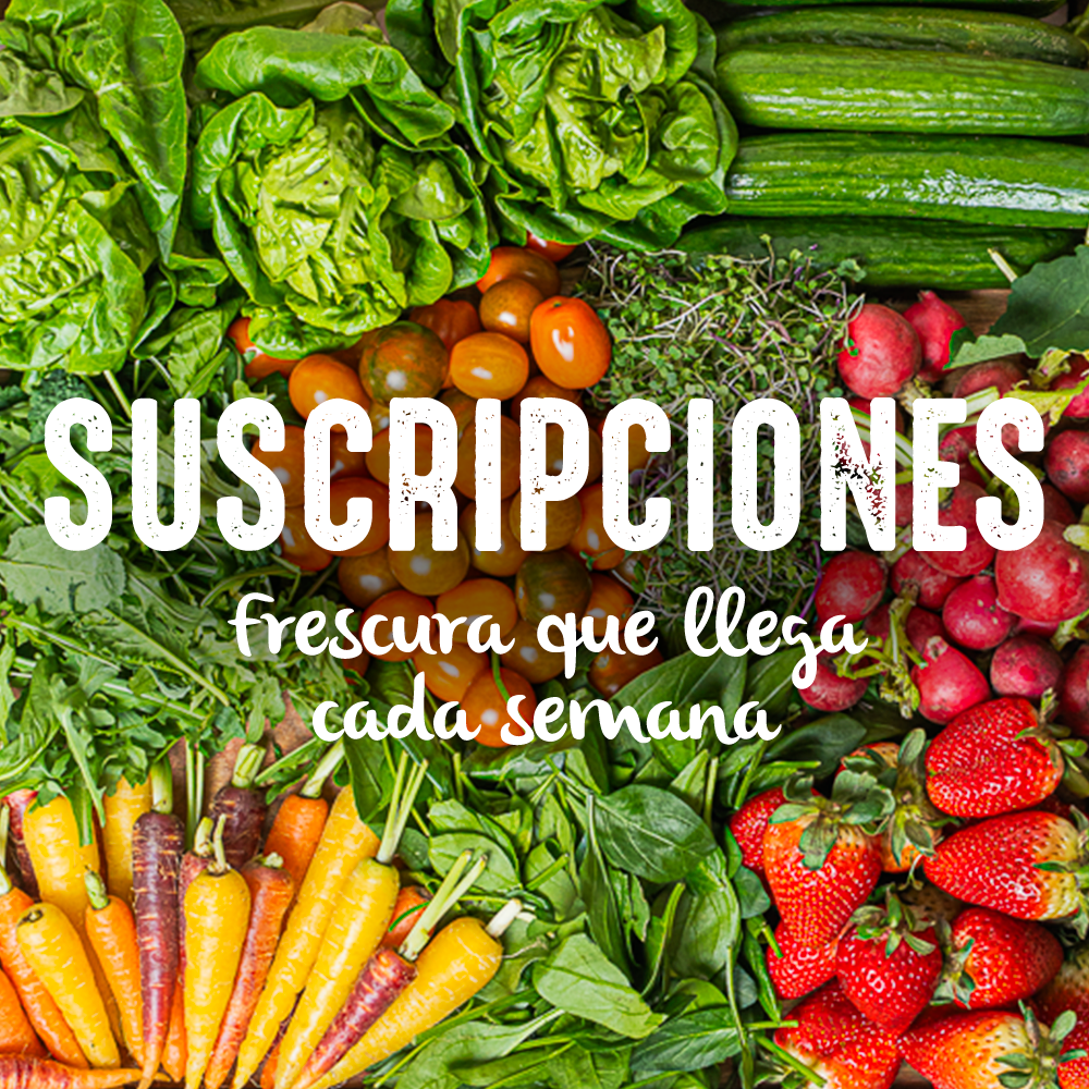 Suscripciones