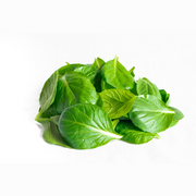 Tatsoi Baby (100g)